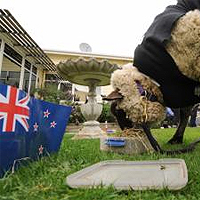 Sonny Wool, the RWC 2011 predictor