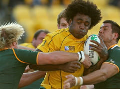 Wallabies through to semis