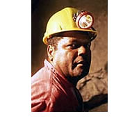 Westech Mining investigates gold export ban