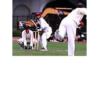 Fiji Face Vanuatu in Cricket Test Match