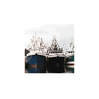 Vessel Owner Questions FIMSA