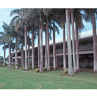 USP Union Strike Illegal-Management