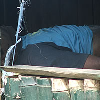 Three Bodies Found in Separate Places