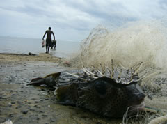 Villages Fight Over Fishing Rights