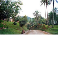 Clearing Works Delay School Opening