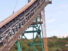 Wairiki Chip Mill to provide 150 jobs in Bua