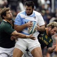 Pumas exceeding expectations â€“ Former Rep