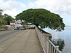 2 major bridges closed as it could collapse any time