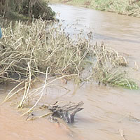 Situation In Labasa Worsens