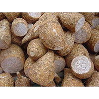 Tausala Dalo output expected to fall