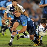 Bulls need win to secure home semifinal