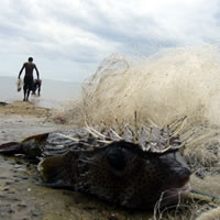 Fisheries wardens to undergo training