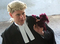 No Powers Under The Constitution-Perram