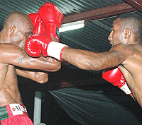 Boxing awareness workshops to be conducted