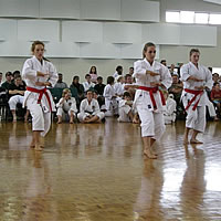 Karate Team Returns With Medals