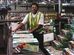 Fosters buys out FHL shares