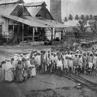 Indentured labourers contributed greatly to Fijis development