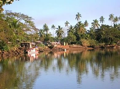 Mayor Wants Rivers Dredged