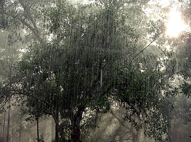 DISMAC Issues Public Advisory