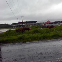 Heavy Rain Still in North