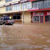 Families in Need of Urgent Help