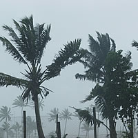 Strong Wind Warning In Force