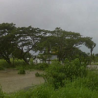 Strong Winds Hit Kadavu