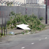 PAFCO roof falling off due to strong winds
