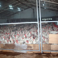 More competitive prices expected