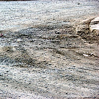 Bus company concerned with poor road conditions