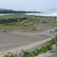 Flying Fijians to use sand dunes