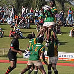 Northland’s fate lies with last two matches