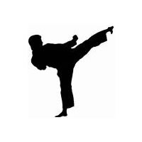 Karate Team Wins 3 Bronze Medals