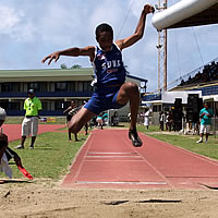 Yee to assist Nadi for Chow games