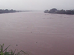 Flood waters rise along Rewa river