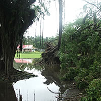 Farms in Navua completely destroyed