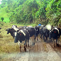 Food Security A Concern