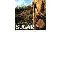 Supermarkets still rationing sugar