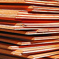 Importation of Plywood Raises Concerns