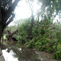 NFA evacuates 178 people