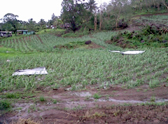 Cikobia left like a war zone