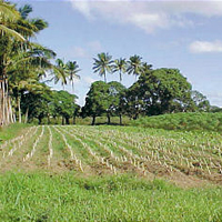 Farmers advised to utilized land well