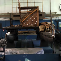 Museum Organizes Programme