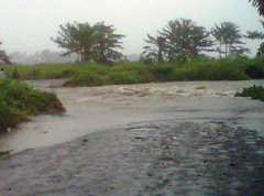 Flood alert remains for areas near Navolau River