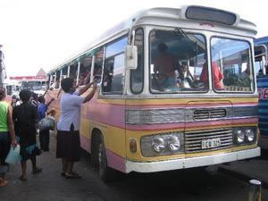 Fuel price increase to affect bus industry 