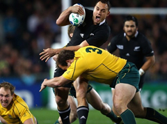 Wallabies taught a lesson