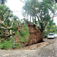 NZ plans to make contribution for relief