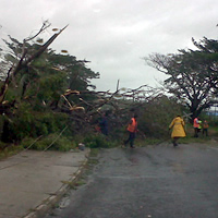 Normal daily activities in Lau 