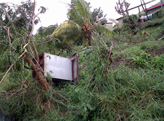 No seed supply after cyclone in Vanuavatu Island