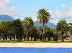 Naisoso Managing Director says Fiji is a good place to invest